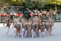 Schoolplein Festival A130